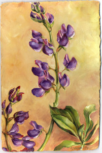 cathy weber - art - painting - woman -flower - watercolor- montana - painting - parchment - skin - botanical - study - wildflower - oil painting