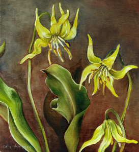 cathy weber - art - painting - woman -flower - watercolor- montana - painting - parchment - skin - botanical - study - wildflower - oil painting