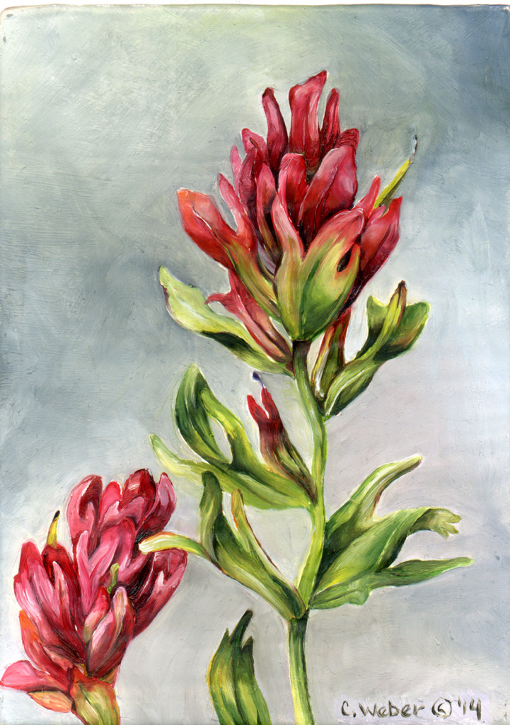 cathy weber - art - painting - woman -flower - watercolor- montana - painting - parchment - skin - botanical - study - wildflower - oil painting