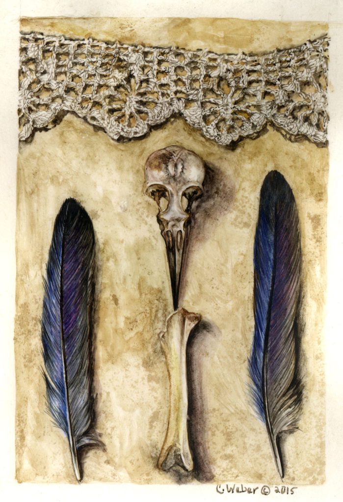 cathy weber - art - lace - scull - woman - montana - parchment - feather - bird