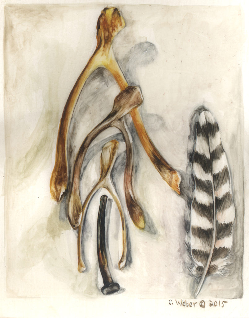 cathy weber - art - painting - woman - montana - watercolor - object -parchment pear