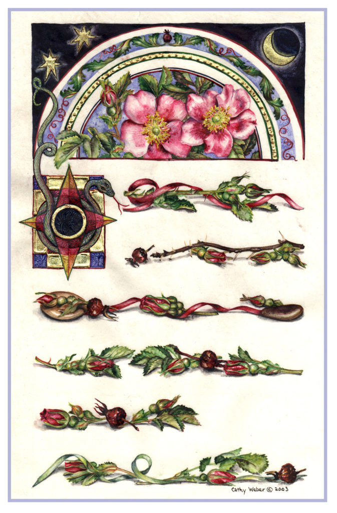 cathy - weber - artmaker - art - woman - oil - montana - painting - oil -poem - object - card - notecard - compass rose