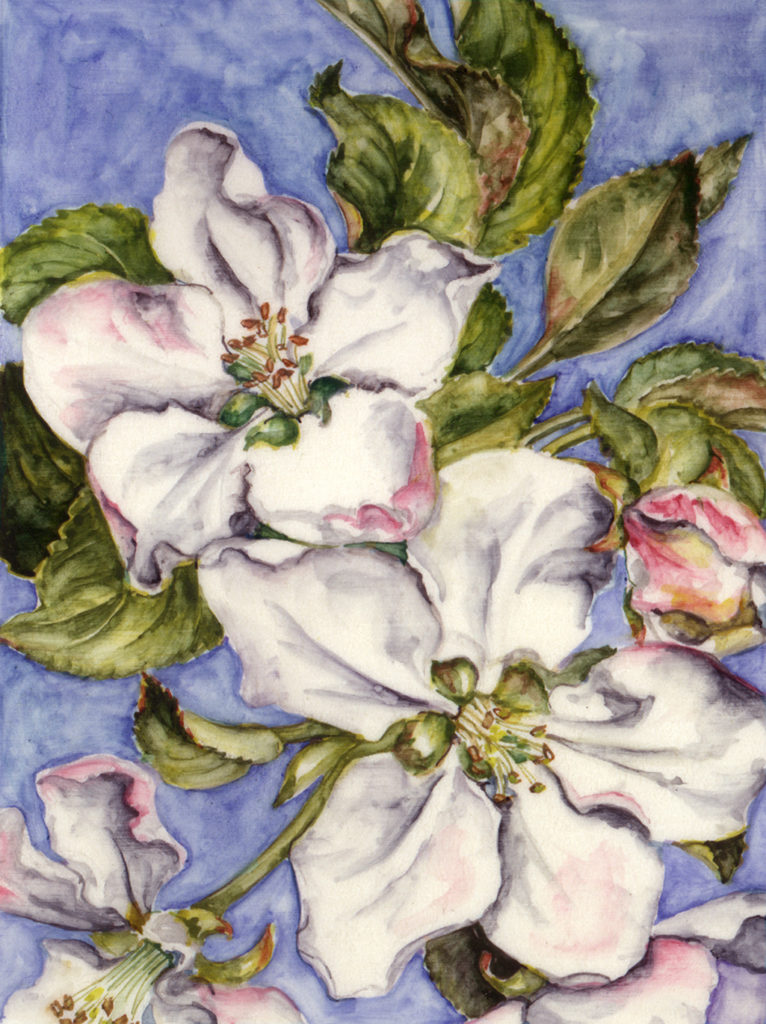 cathy weber - art - artoist - montana - cards - note cards - notecards - flowers - woman - women