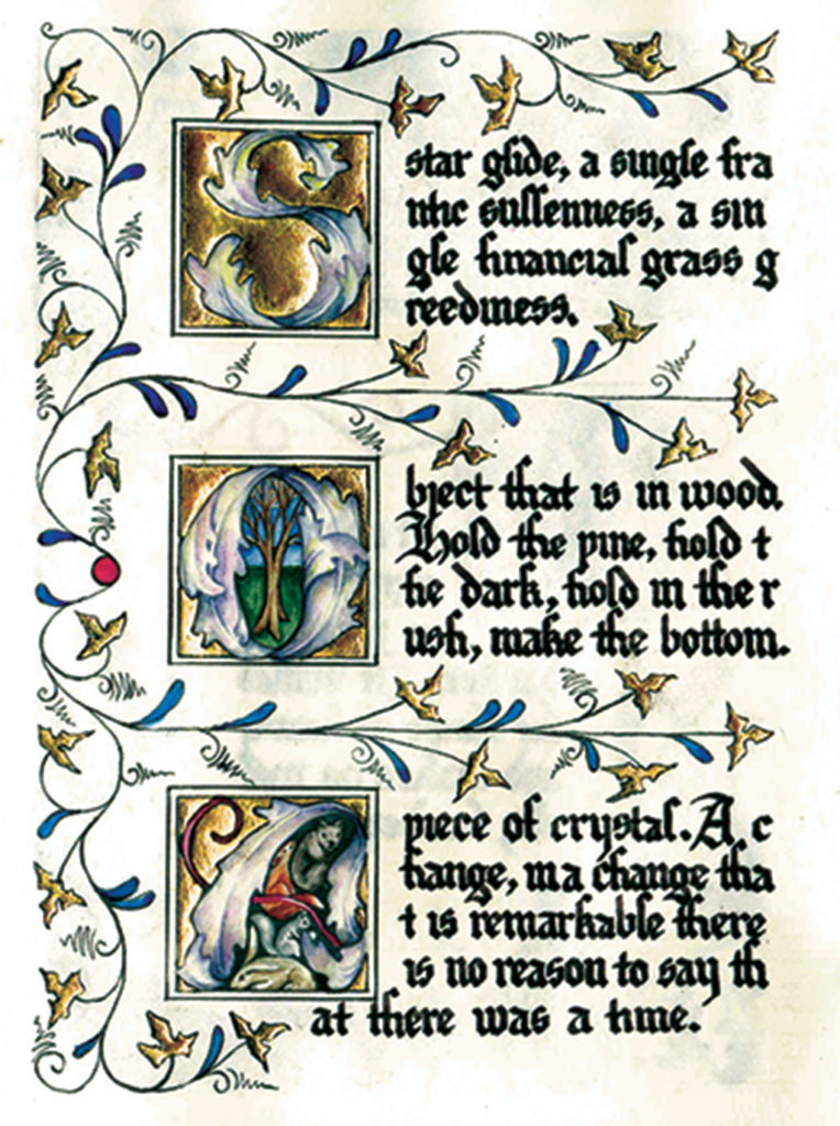 cathy weber - art - artmaker - watercolor - parchment- montana - Gertrude - stein - tender buttons - illumination - book - artist