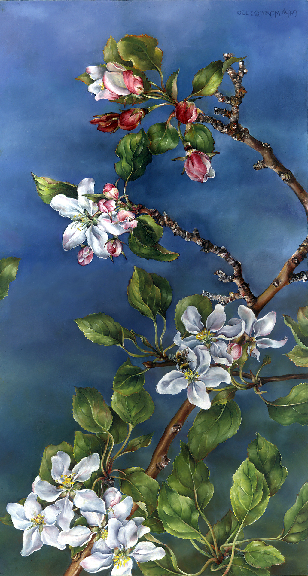 20.010 - cathy weber - art - painting - woman -flower - apple blossom - montana - painting - parchment - skin - botanical - study - wildflower - oil painting - bumble bee